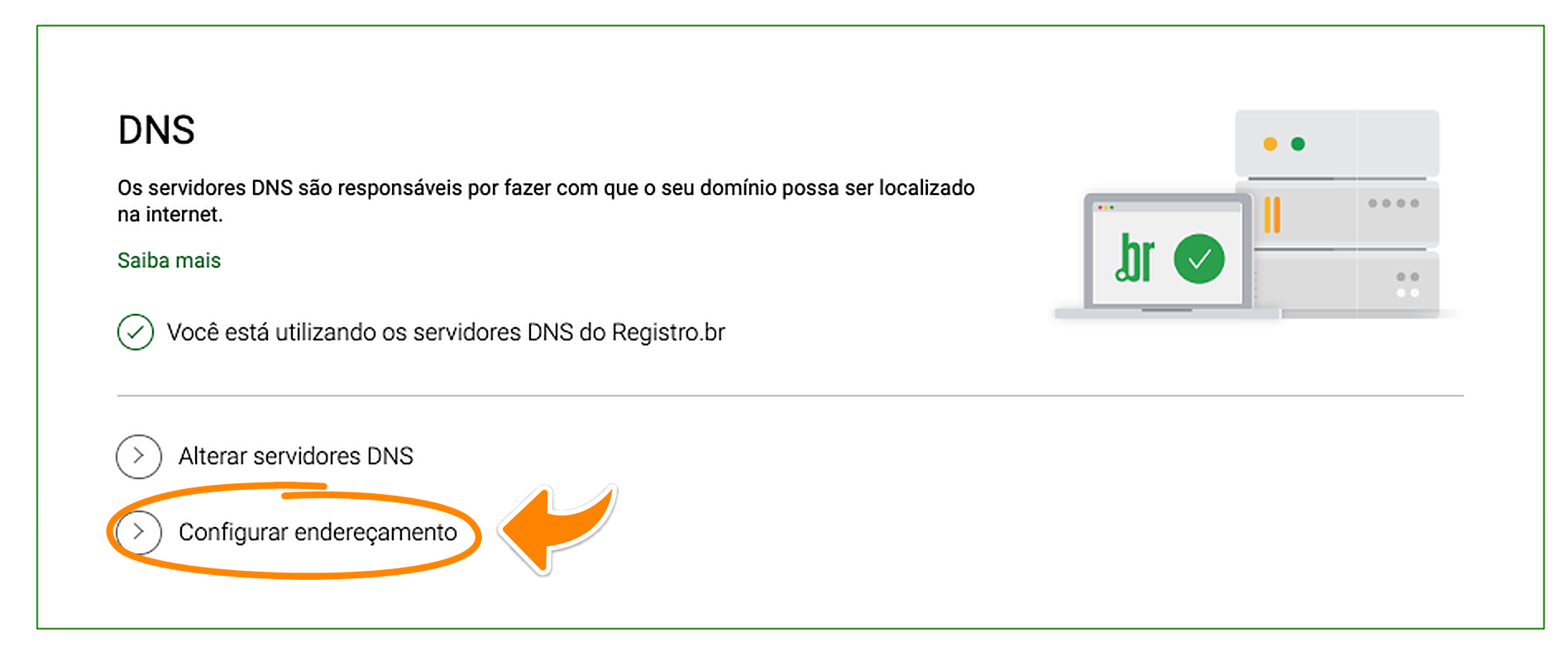 Seção DNS do domínio na Registro.br, com a marcação laranja em Configurar endereçamento