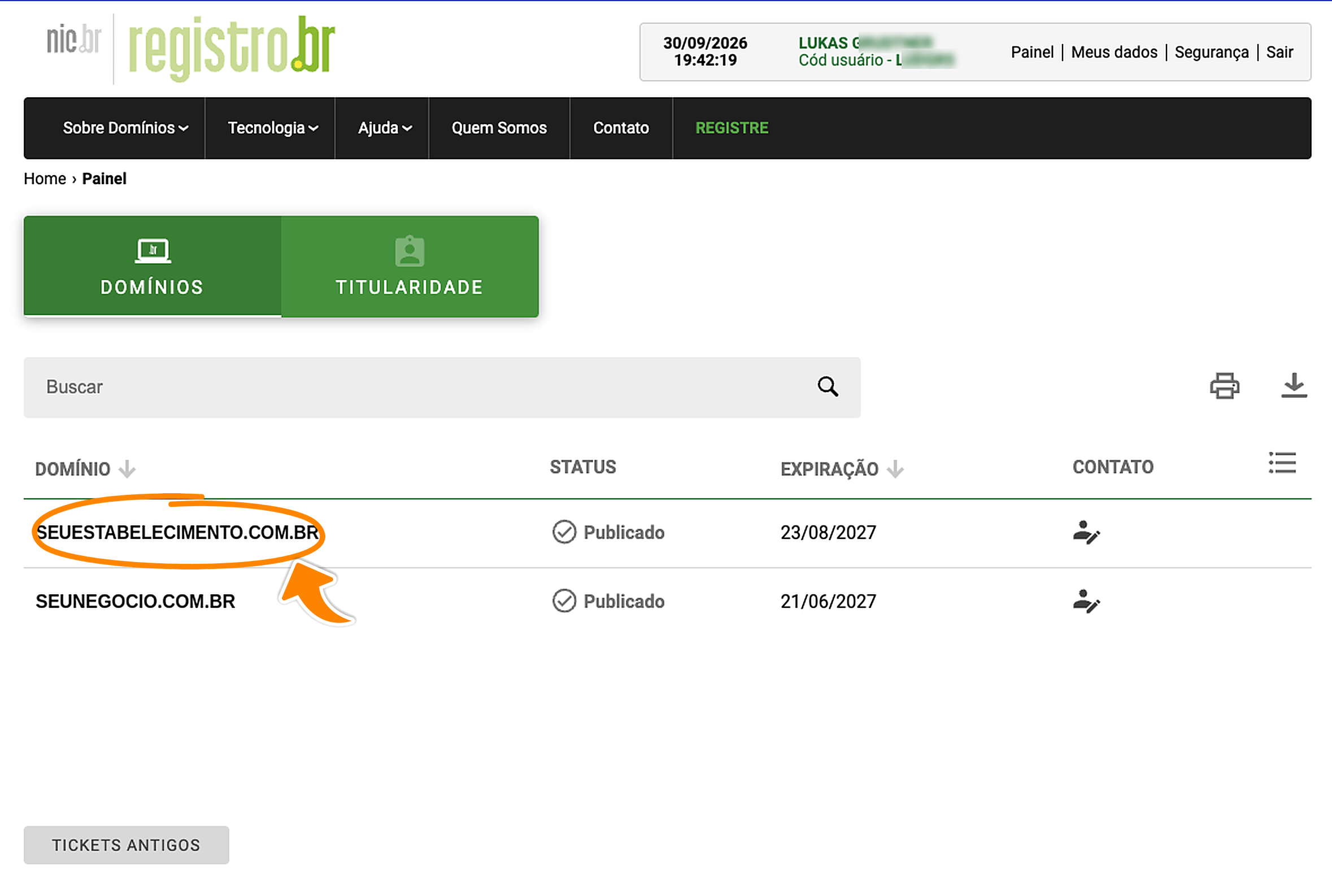 Painel da Registro.br com a lista de domínios e a marcação laranja no domínio a configurar